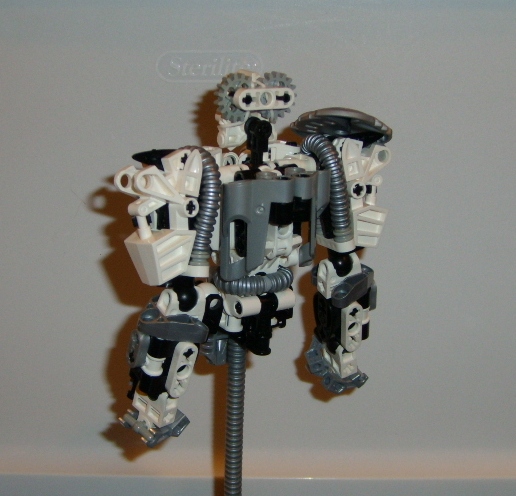tohu_003.jpg