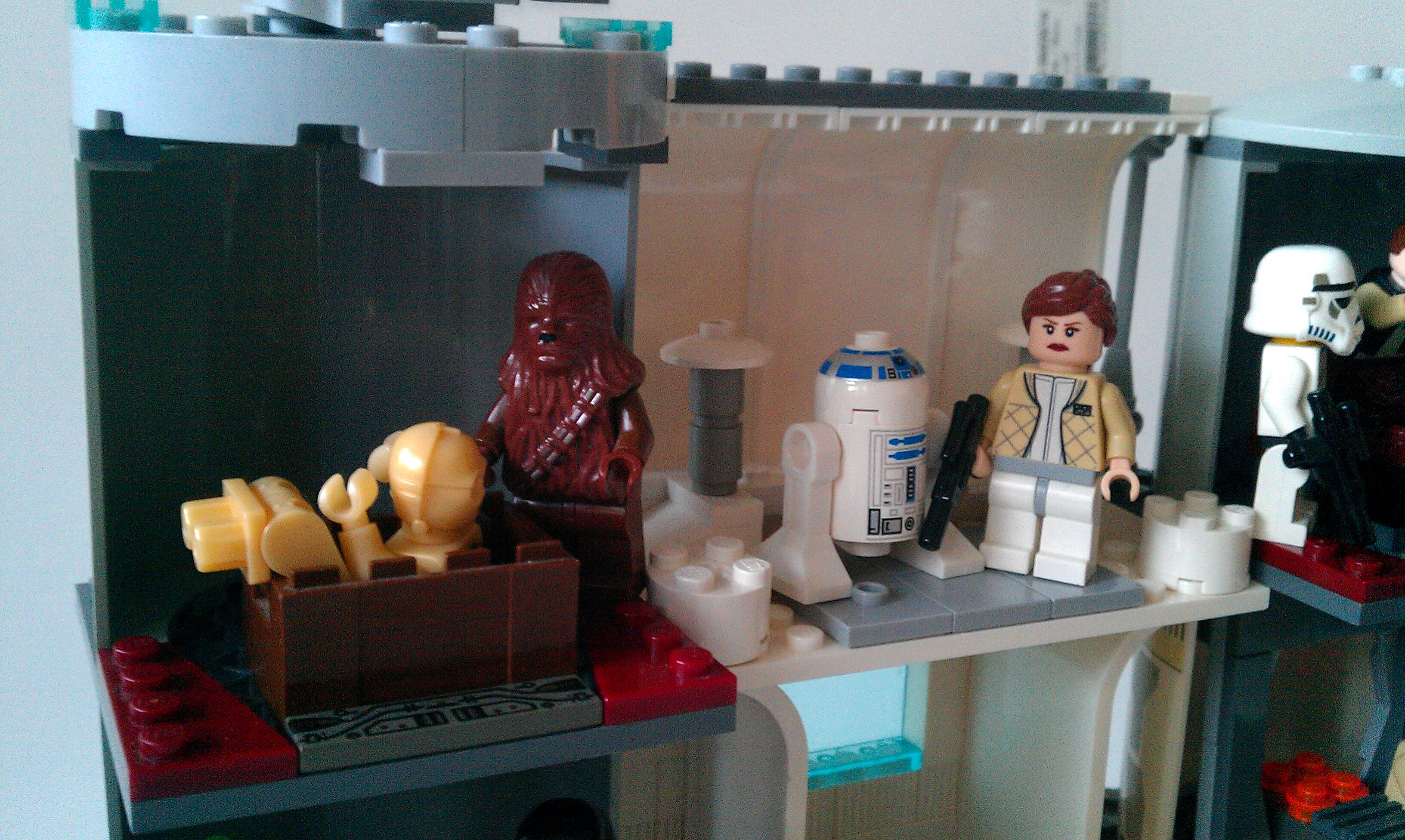 chewbacca_c3p0_in_cell_leia_r2_in_suite.jpg