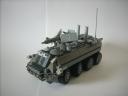 Btr80