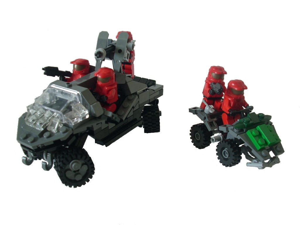 warthog_mongoose_01.jpg