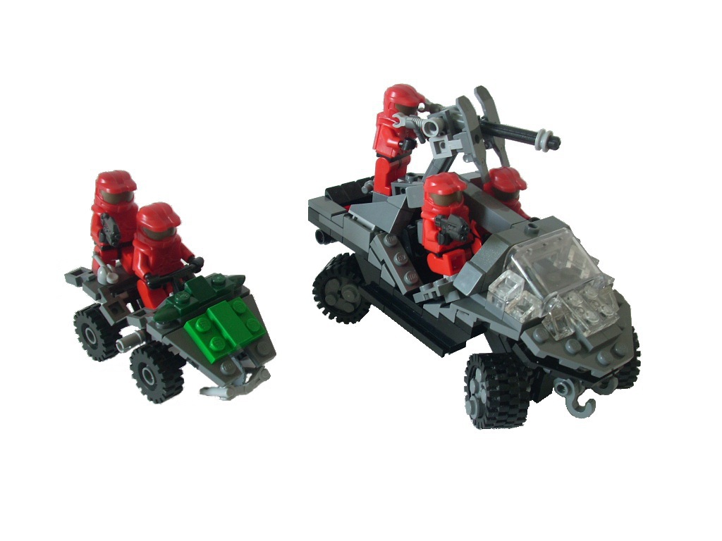 warthog_mongoose_02.jpg