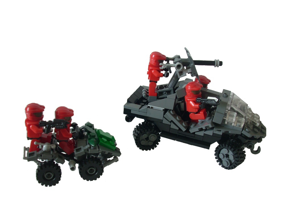warthog_mongoose_03.jpg
