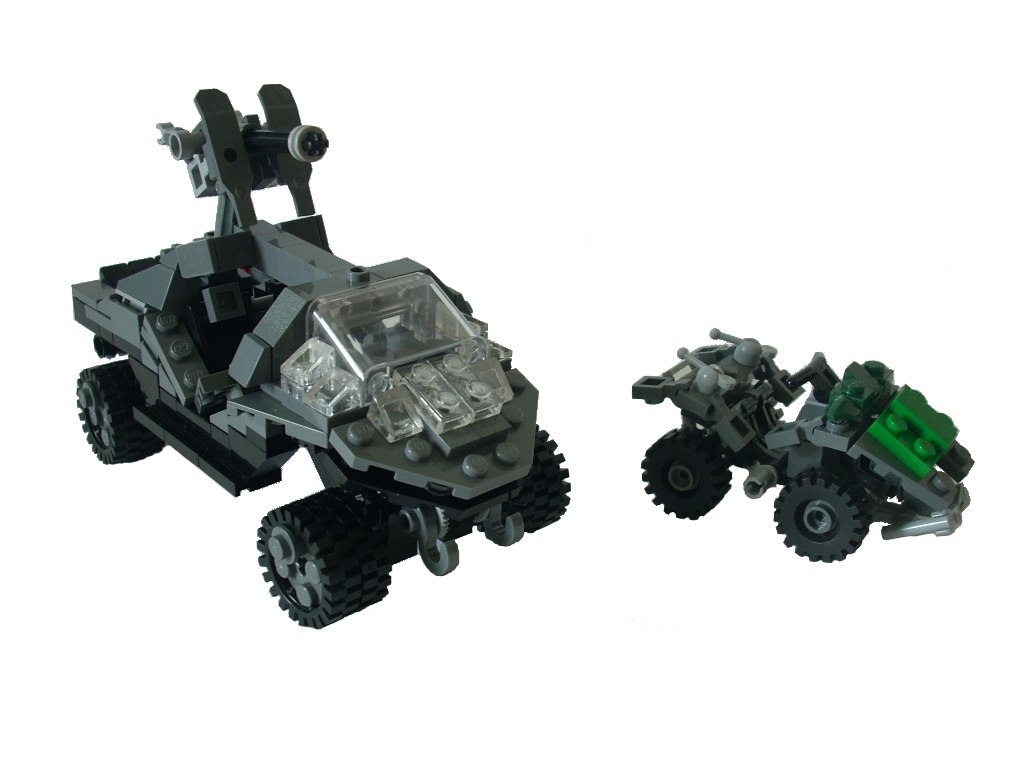 warthog_mongoose_04.jpg