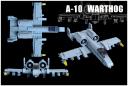 A-10