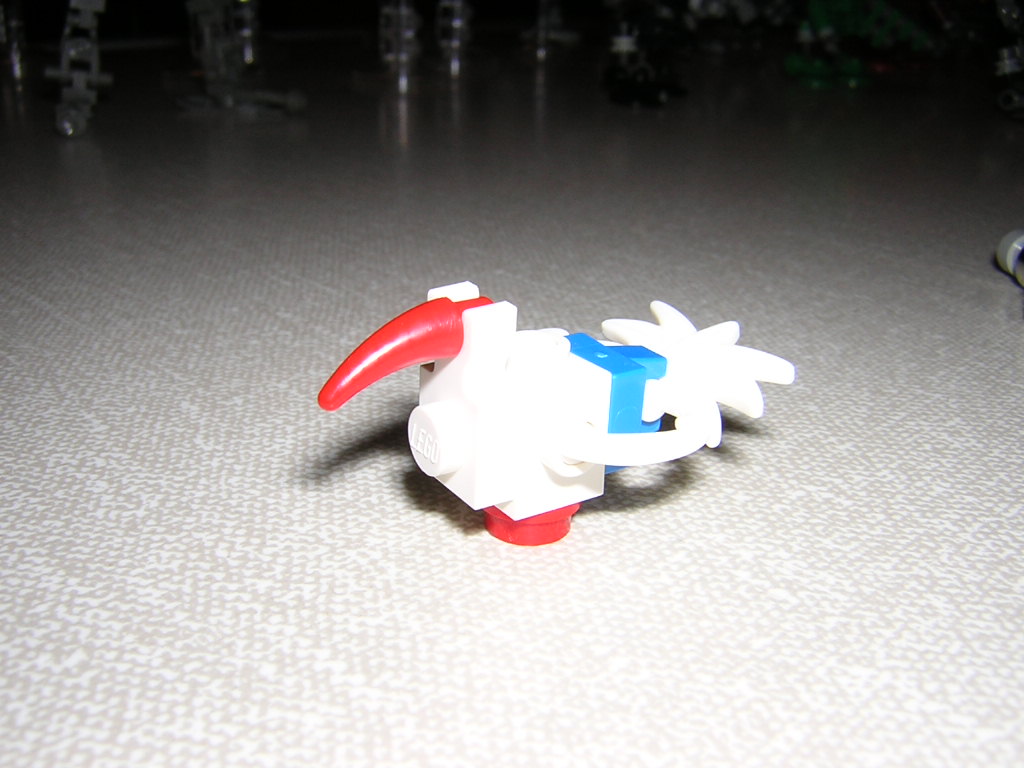 bird.01.jpg