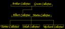 calixtus_tree.bmp