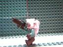 picture_4963.jpg
