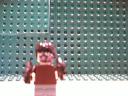 picture_4971.jpg