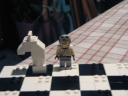 knight.jpg