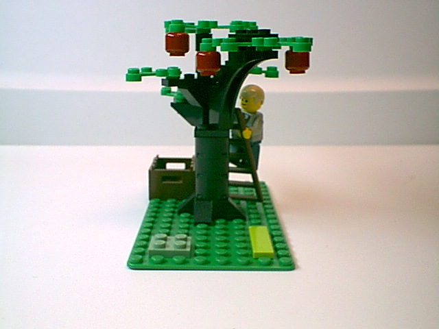 0101_003.jpg