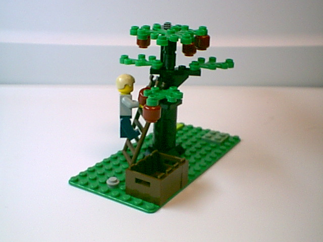 0101_005.jpg