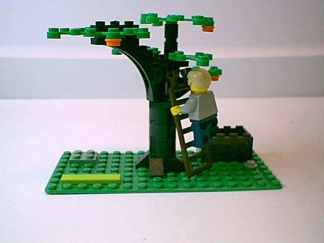 0101_006.jpg