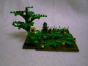 Vegetable-garden