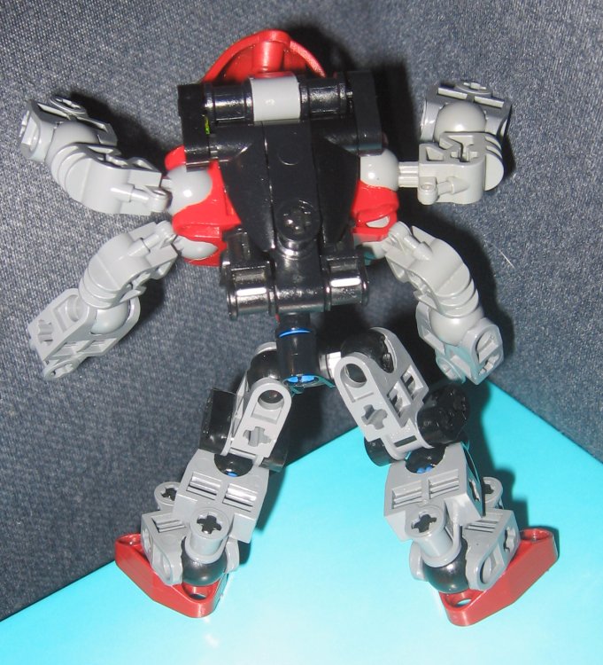 tetranewpics_002.jpg