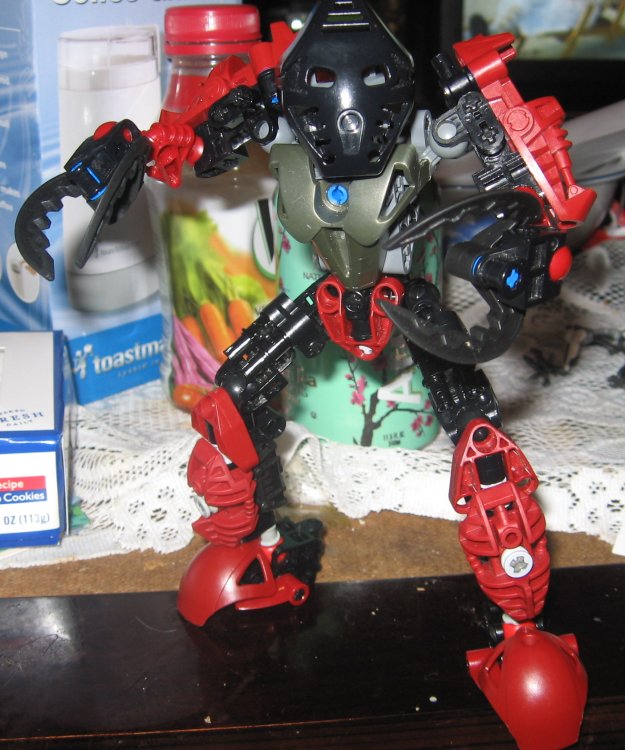 toaornea4.jpg