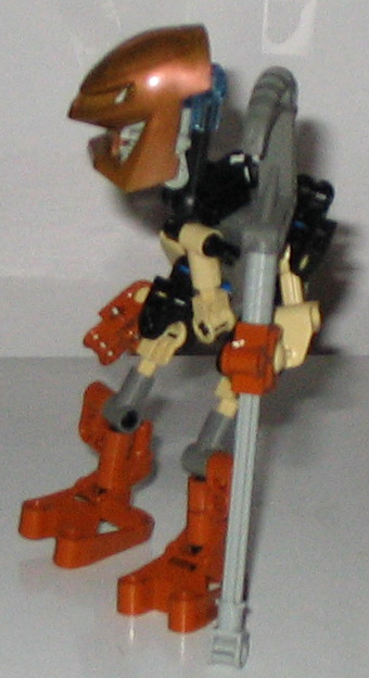 turagapomaka2.jpg
