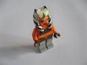 minifig_ashoka.jpg