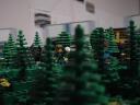 dsc05280.jpg
