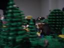 dsc05281.jpg