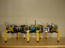 dsc00005.jpg