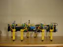 dsc00009.jpg