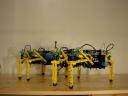 dsc00010.jpg