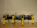 dsc00015.jpg