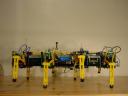 dsc00016.jpg