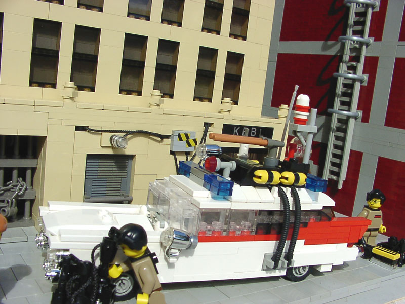 ecto_1.jpg