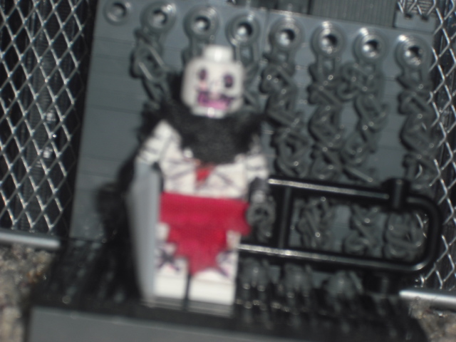 lego_fav_vg_014.jpg