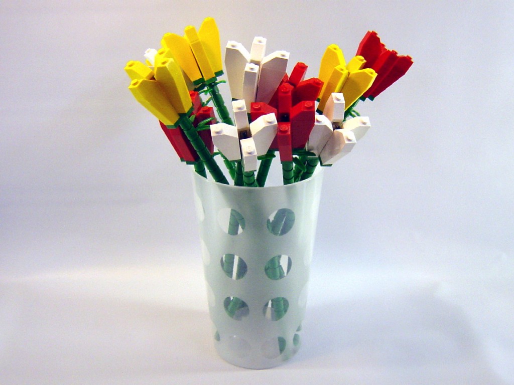 dsc02097_edited.jpg