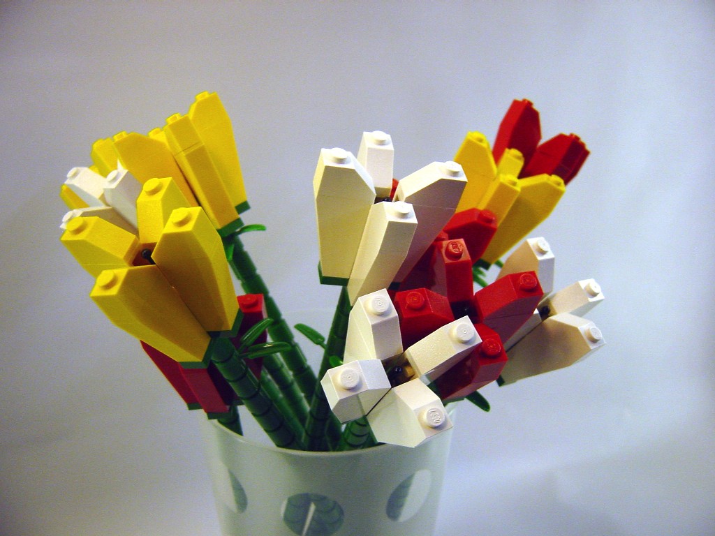 dsc02099_edited.jpg