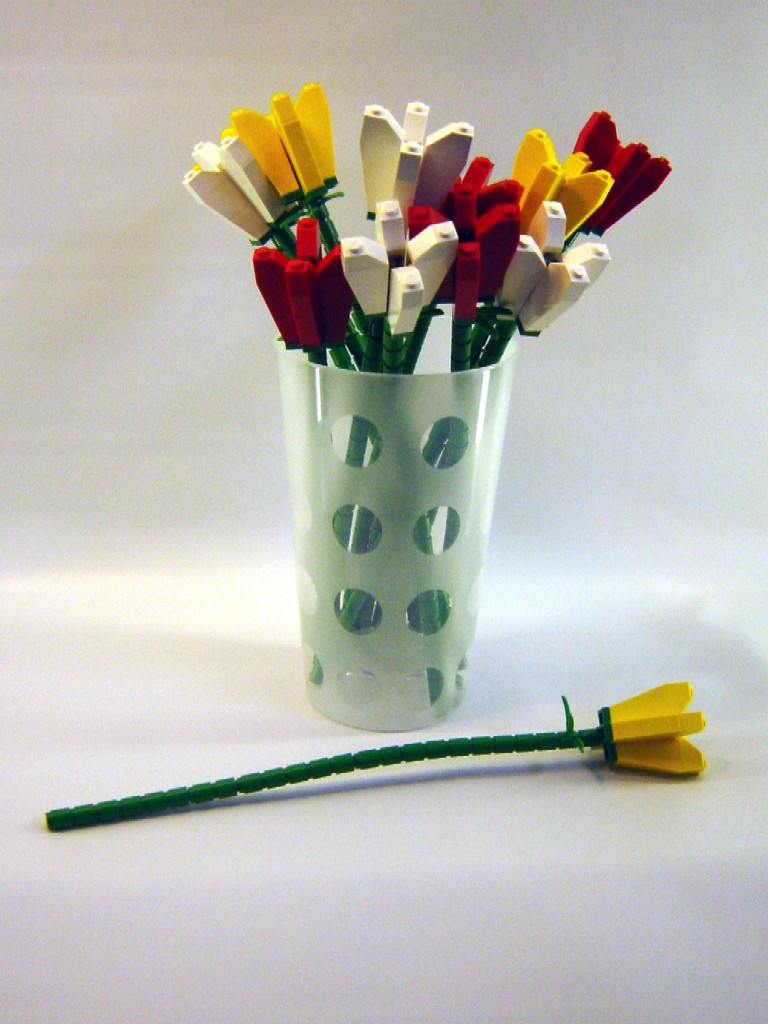 dsc02101_edited.jpg