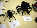 dsc01750.jpg