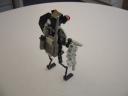 dsc00709.jpg