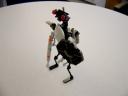 dsc00710.jpg