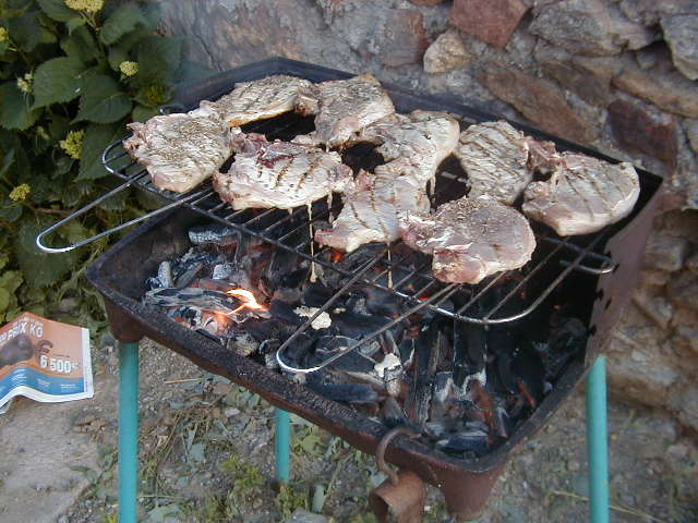 p1010126.jpg