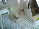 dsc00063.jpg