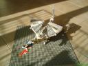 dsc00367.jpg