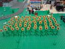 brickmania-wetteren-2014-26.jpg