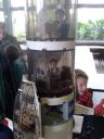 brickmania-wetteren-2014-58.jpg