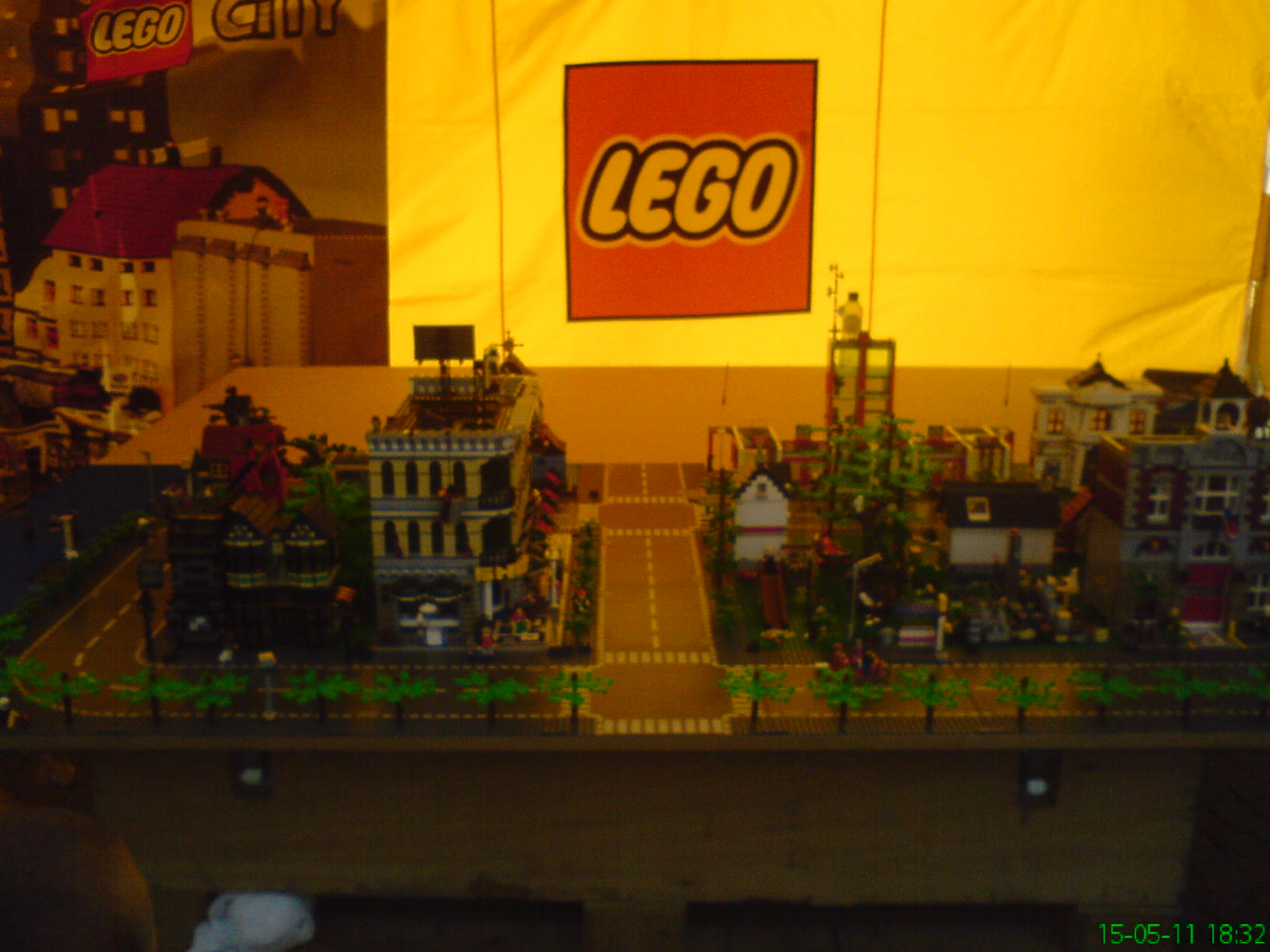 dsc00501.jpg