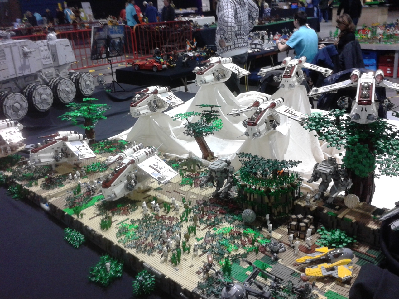 bma2014-06.jpg