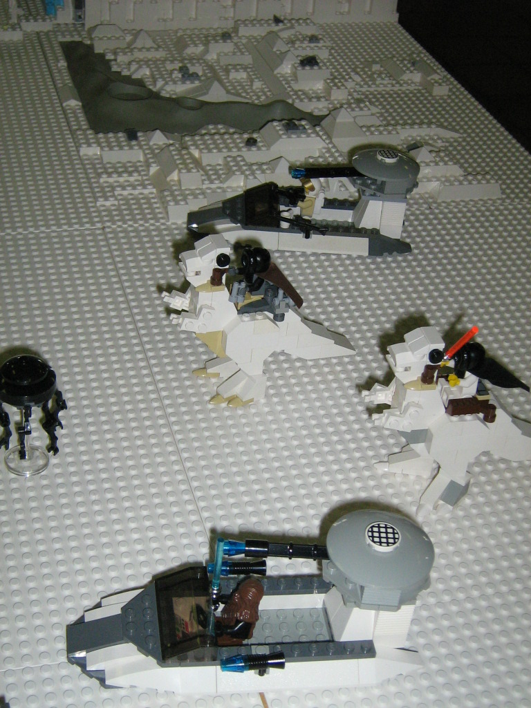 img_2342.jpg