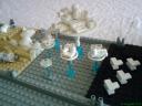 dsc00085.jpg