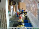 dsc00089.jpg