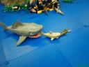 dsc00192.jpg
