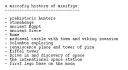 microfig_history.txt