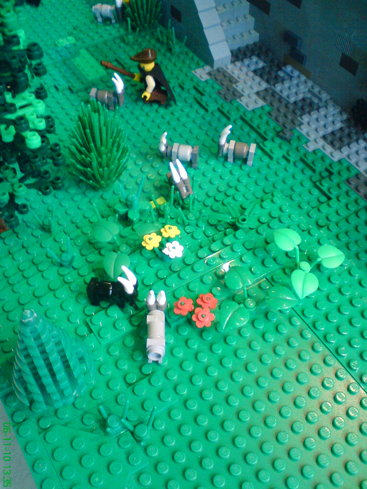 dsc00475.jpg
