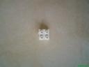 dsc00126.jpg